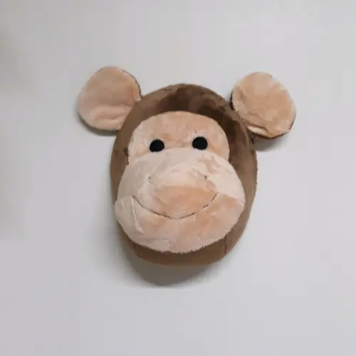 Cabeça de Macaco Falsa Taxidermia