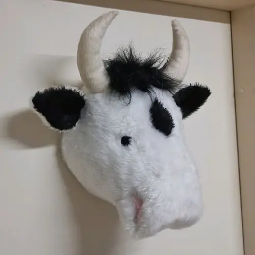 Cabeça de Vaquinha Falsa Taxidermia