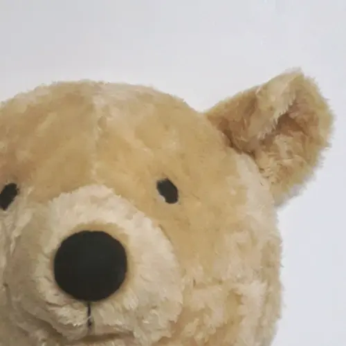 Cabeça de Urso Falsa Taxidermia em Pelúcia