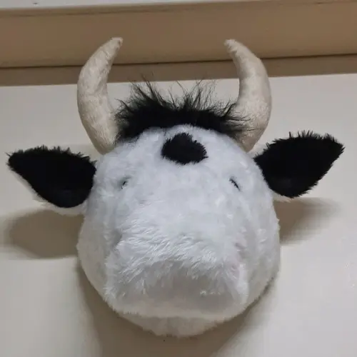 Cabeça de Vaquinha Falsa Taxidermia