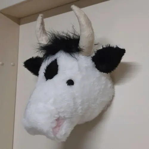 Cabeça de Vaquinha Falsa Taxidermia