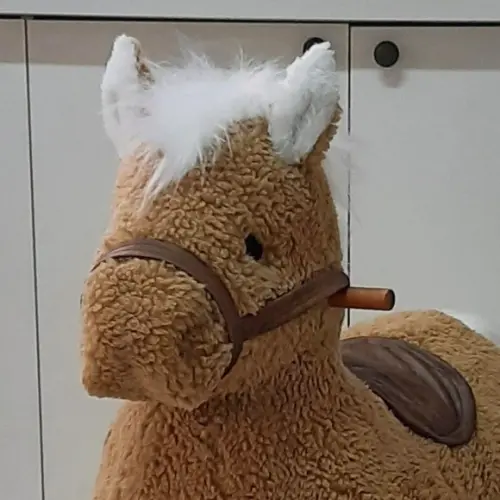 Cavalo  de Balanço