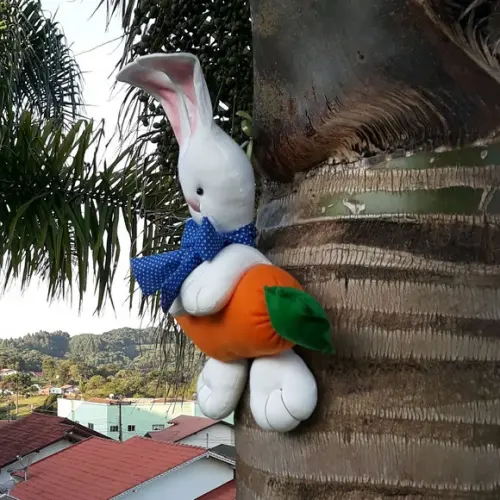 Coelho de Páscoa na Cenoura