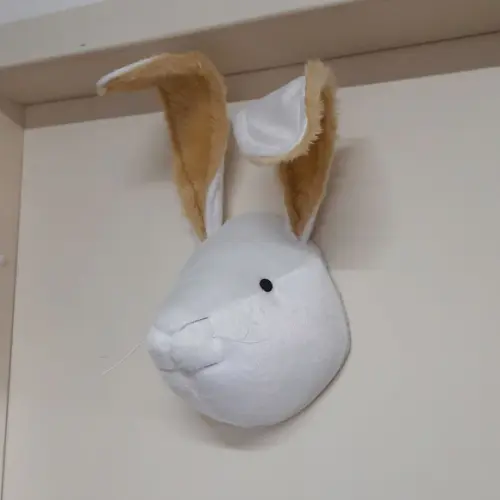 Coelho Falsa Taxidermia em Pelúcia