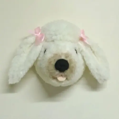 Falsa Taxidermia Cachorro