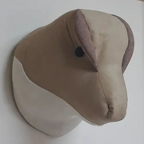 Falsa Taxidermia Dinossauro