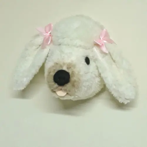 Falsa Taxidermia Cachorro