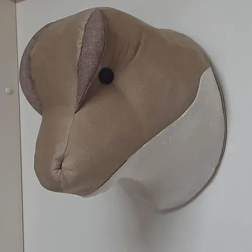 Falsa Taxidermia Dinossauro