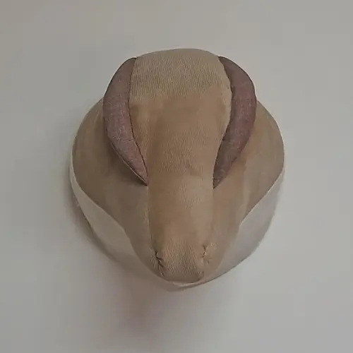 Falsa Taxidermia Dinossauro