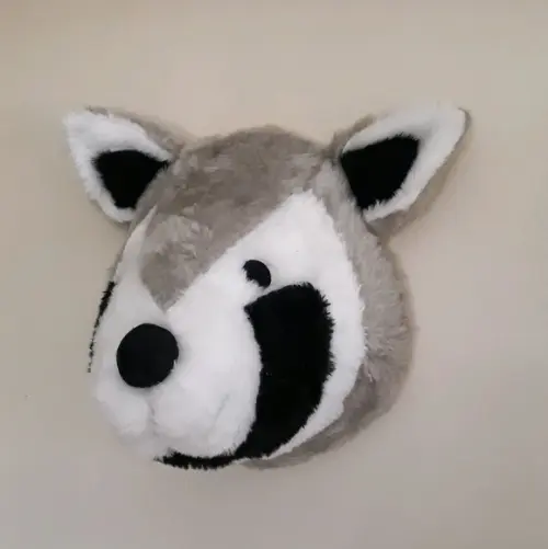 Guaxinim Falsa Taxidermia