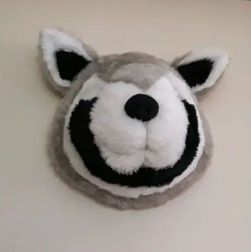 Guaxinim Falsa Taxidermia