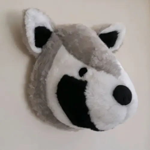 Guaxinim Falsa Taxidermia