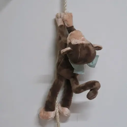 Macaco para Decoração