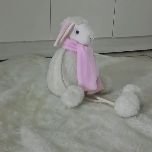 Ovelha Com Pernas De Corda Rosa