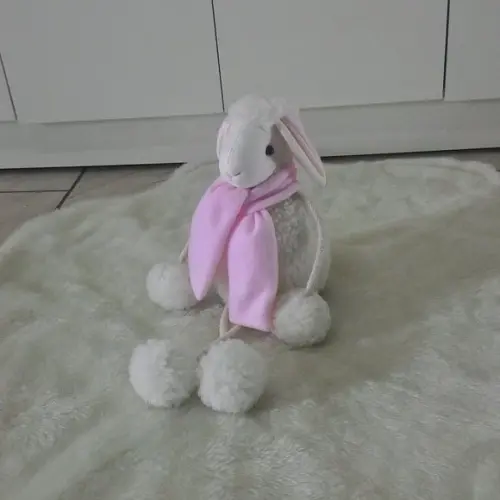 Ovelha Com Pernas De Corda Rosa