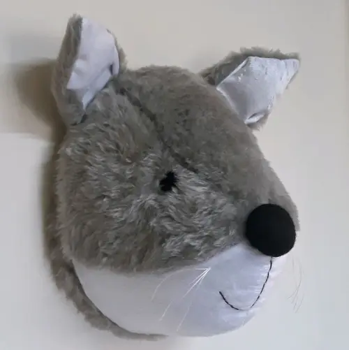 Raposa Taxidermia