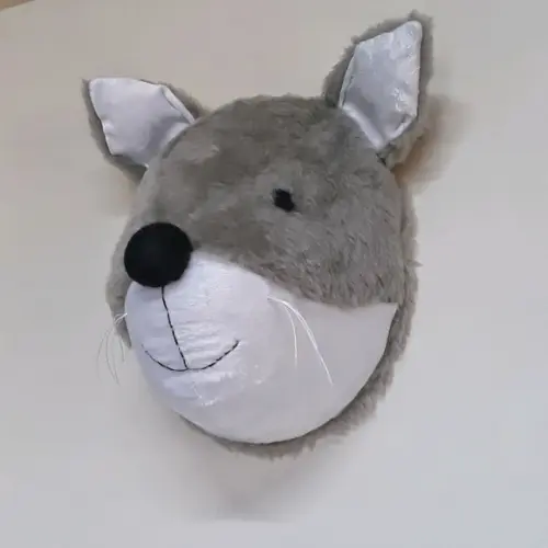 Raposa Taxidermia