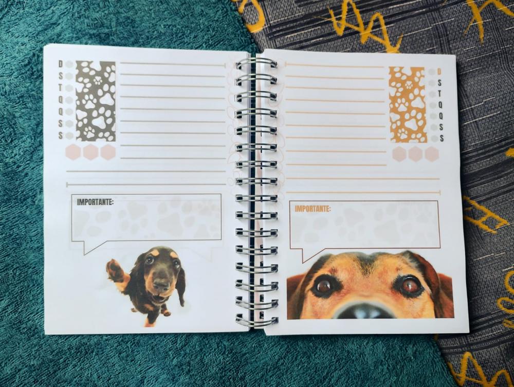 Agenda Permanente Personalizada | Tema Pets