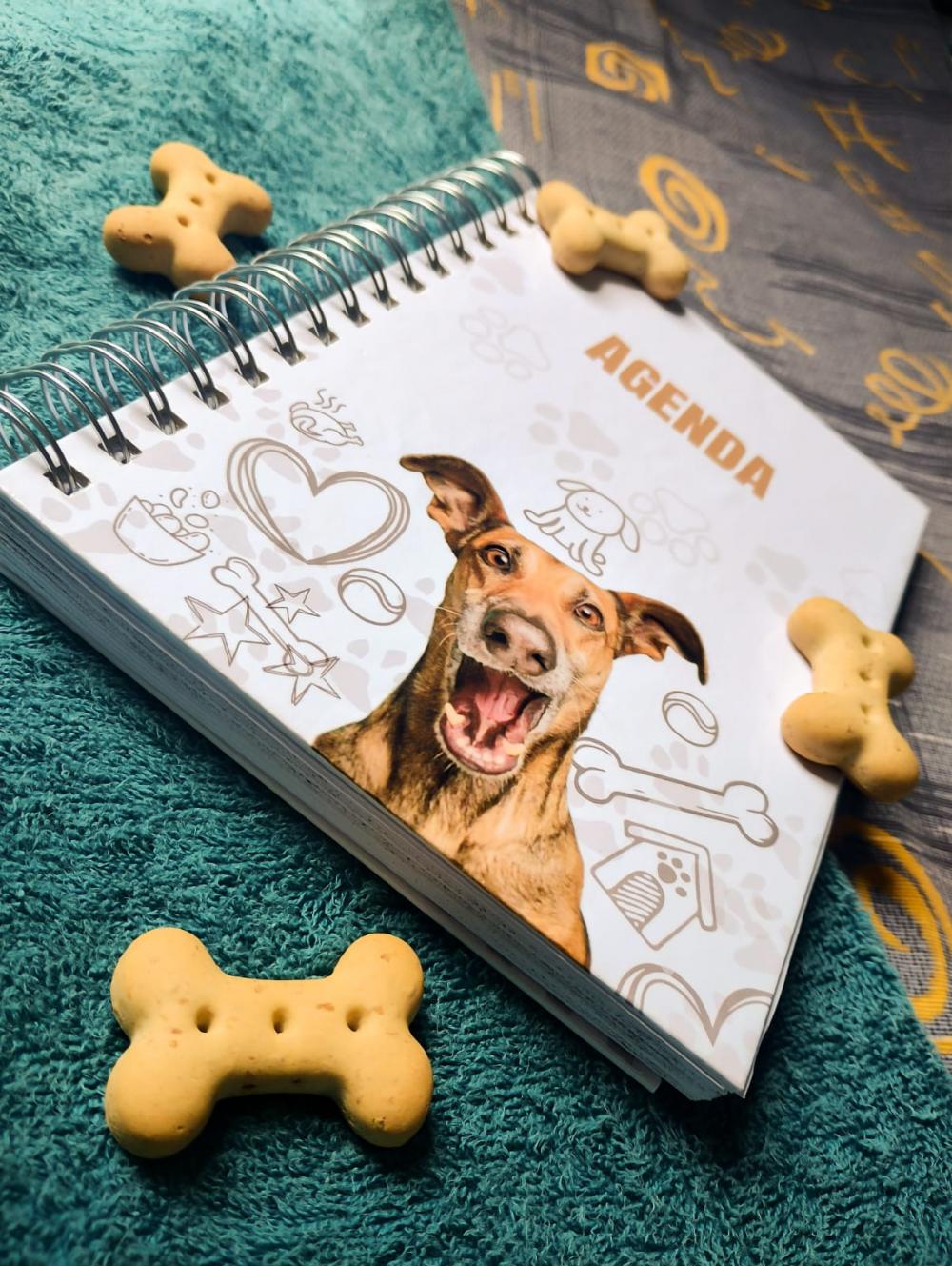 Agenda Permanente Personalizada | Tema Pets