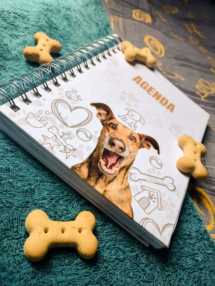 Agenda Permanente Personalizada | Planeje, Foque e Realize!