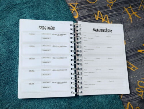 Agenda Permanente Personalizada | Planeje, Foque e Realize!