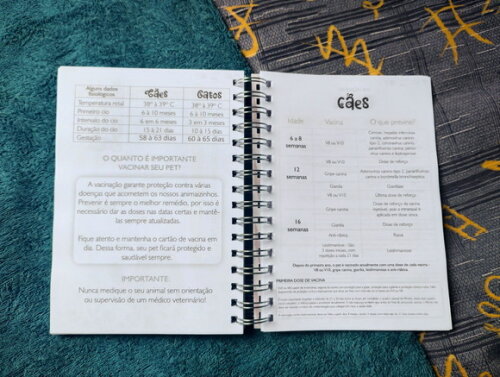 Agenda Permanente Personalizada | Planeje, Foque e Realize!