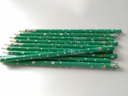 Sininho | Kit 25 Lapis Personalizado Tinker Bell