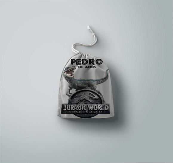 Saquinho Surpresa Personalizado Jurassic Word