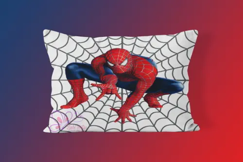 Almofadinha Personalizada 20x30 Homem Aranha