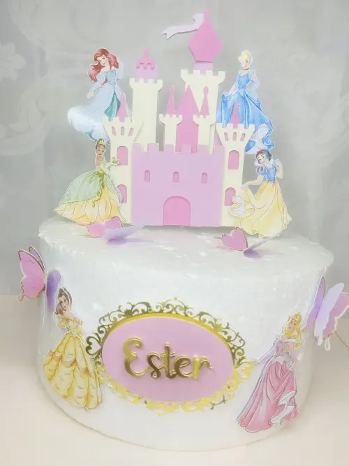 Arquivo Topo castelo das princesas