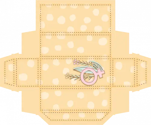 Arquivo Dia da Mulher Caixa Bis