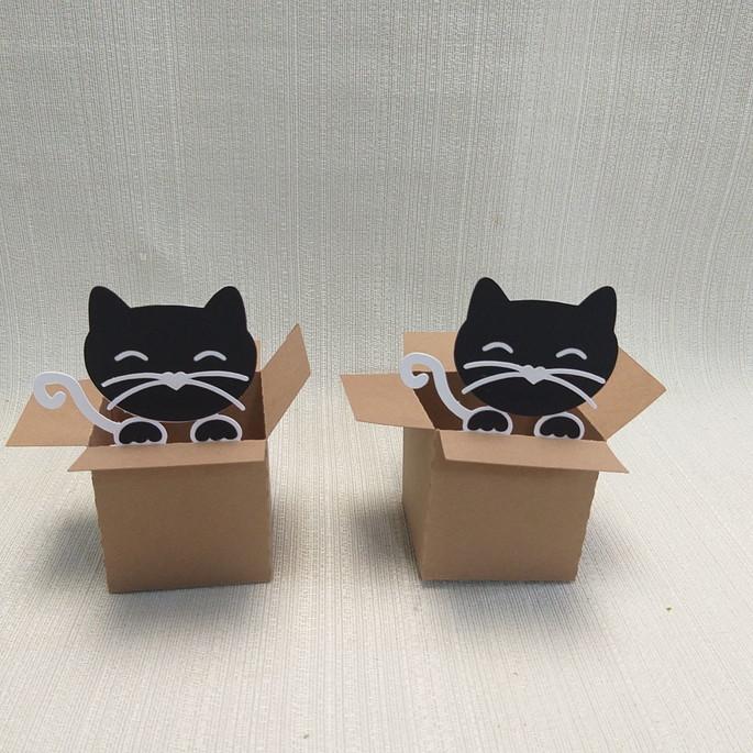 Caixa Mudança Gatinho