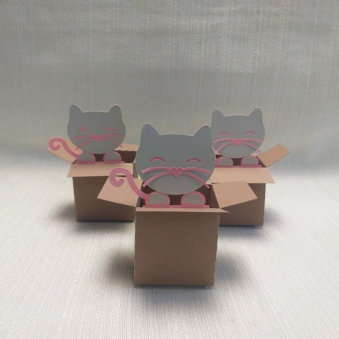 Caixa Mudança Gatinho