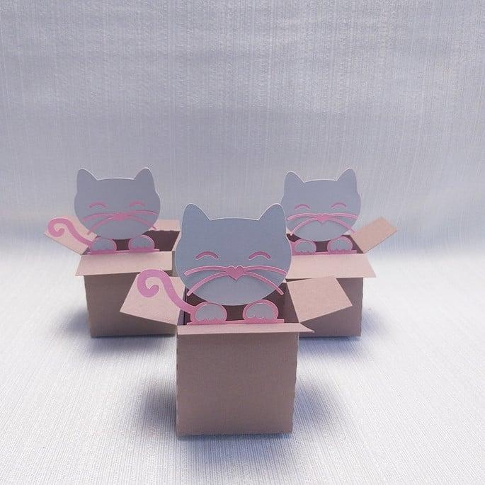 Caixa Mudança Gatinho