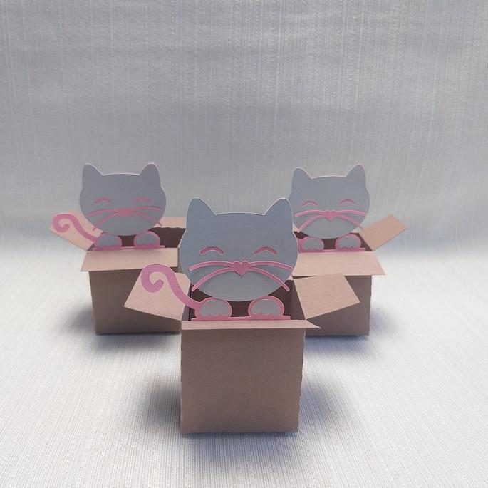 Caixa Mudança Gatinho