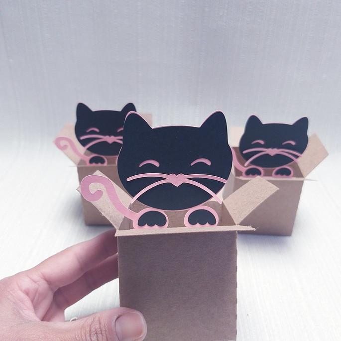 Caixa Mudança Gatinho