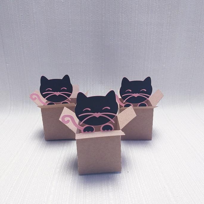 Caixa Mudança Gatinho