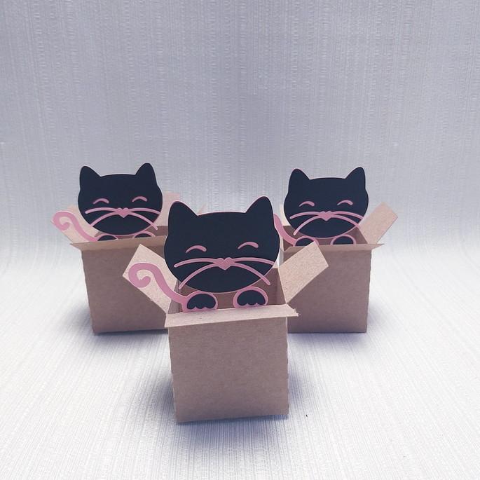 Caixa Mudança Gatinho