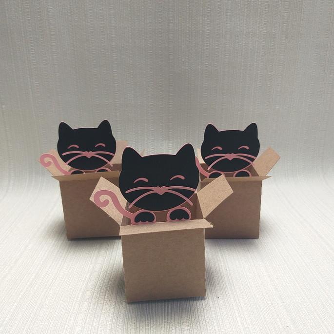 Caixa Mudança Gatinho