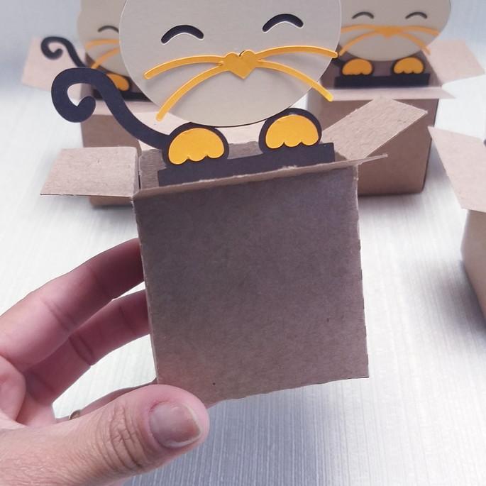 Caixa Mudança Gatinho