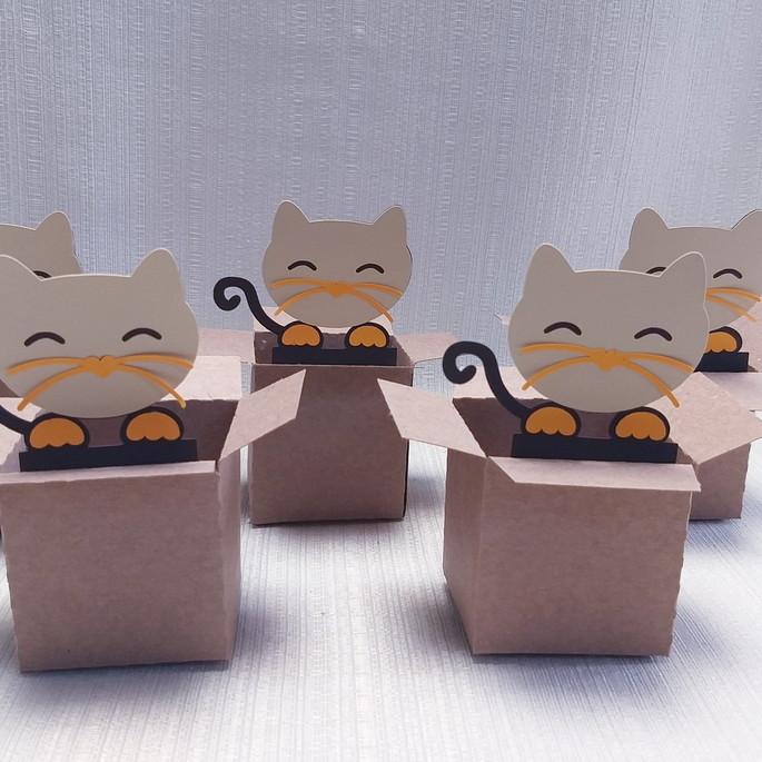 Caixa Mudança Gatinho