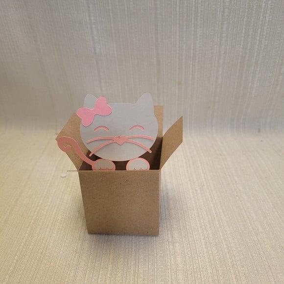 Caixa Mudança Gatinho Cinza com Rosa
