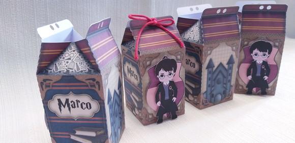 Caixa Milk Harry Potter