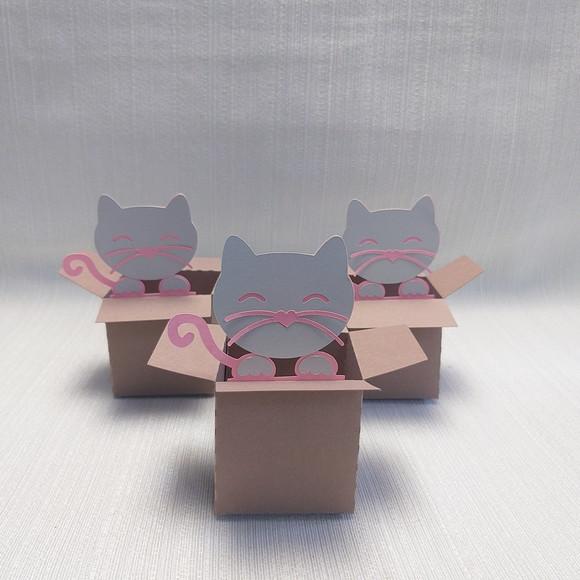 Caixa Mudança Gatinho
