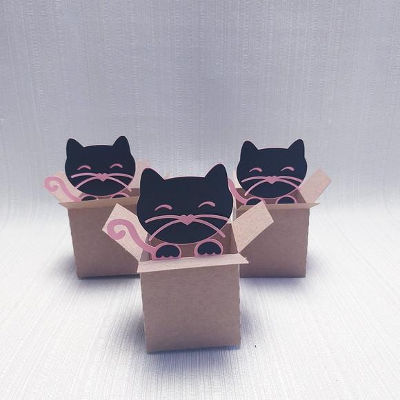 Caixa Mudança Gatinho