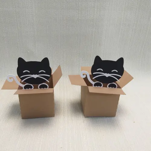 Caixa Mudança Gatinho