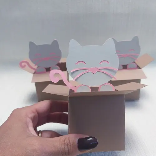 Caixa Mudança Gatinho