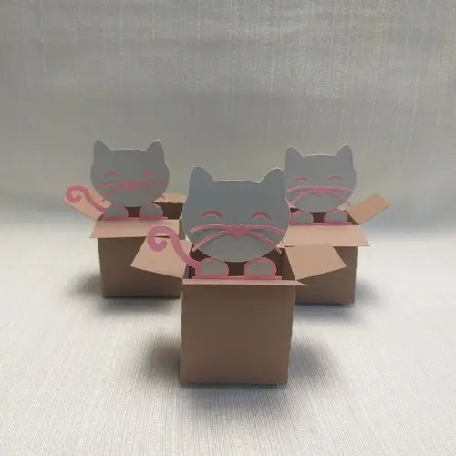 Caixa Mudança Gatinho