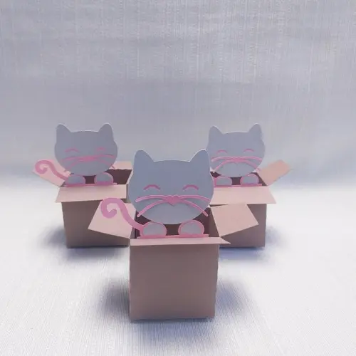 Caixa Mudança Gatinho