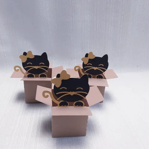 Caixa Mudança Gatinho